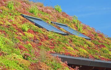 Tarleton living roof systems